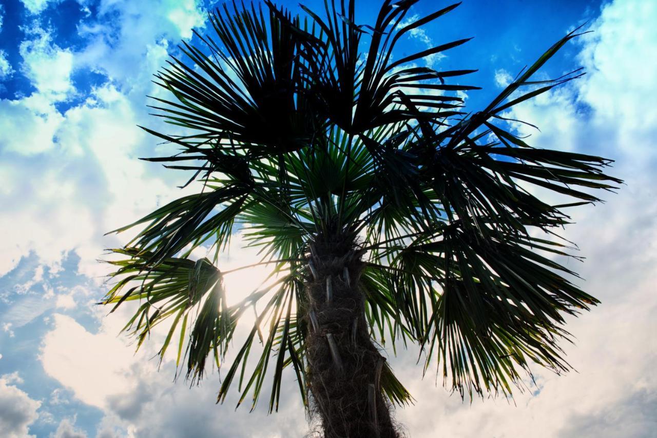 Nocleg Zator Domki Paradise Pod Palmami Exteriör bild